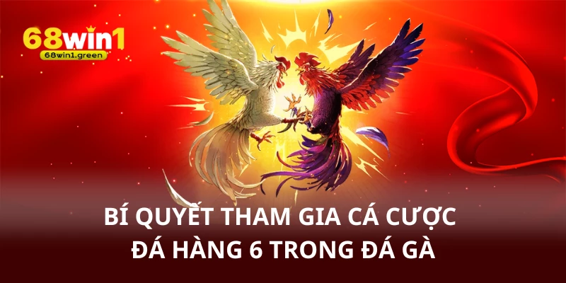 Bí quyết tham gia cá cược đá hàng 6 đá gà