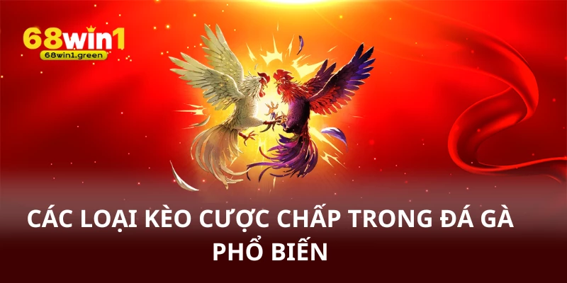 Các loại kèo cược chấp trong đá gà phổ biến