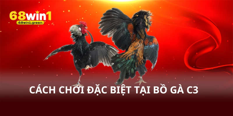 Cách chơi đặc biệt tại bồ gà c3