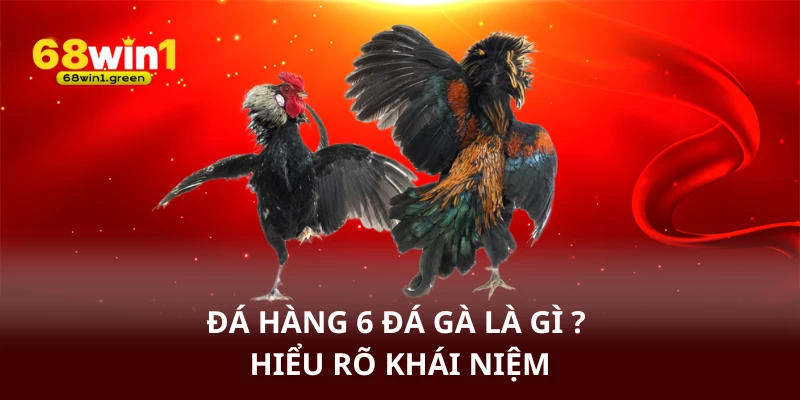 Đá hàng 6 đá gà là gì? - Hiểu rõ khái niệm