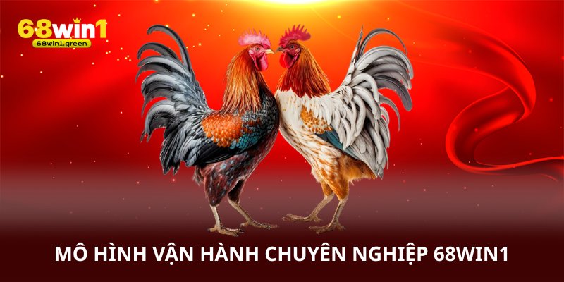 Mô hình vận hành chuyên nghiệp