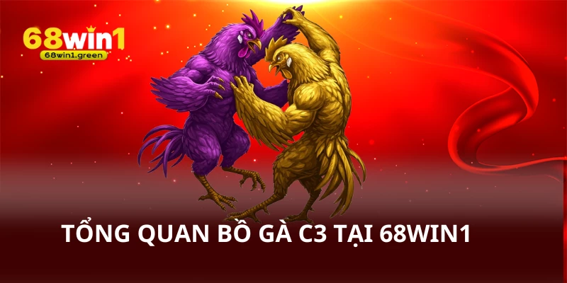 Tổng quan bồ gà C3 sân chơi cược đá gà tại 68win1