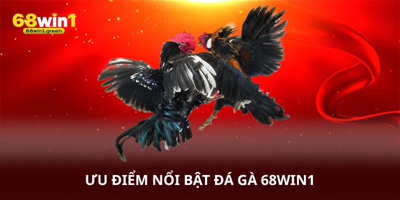 Những ưu điểm nổi điểm nổi bật của đá gà 68win1